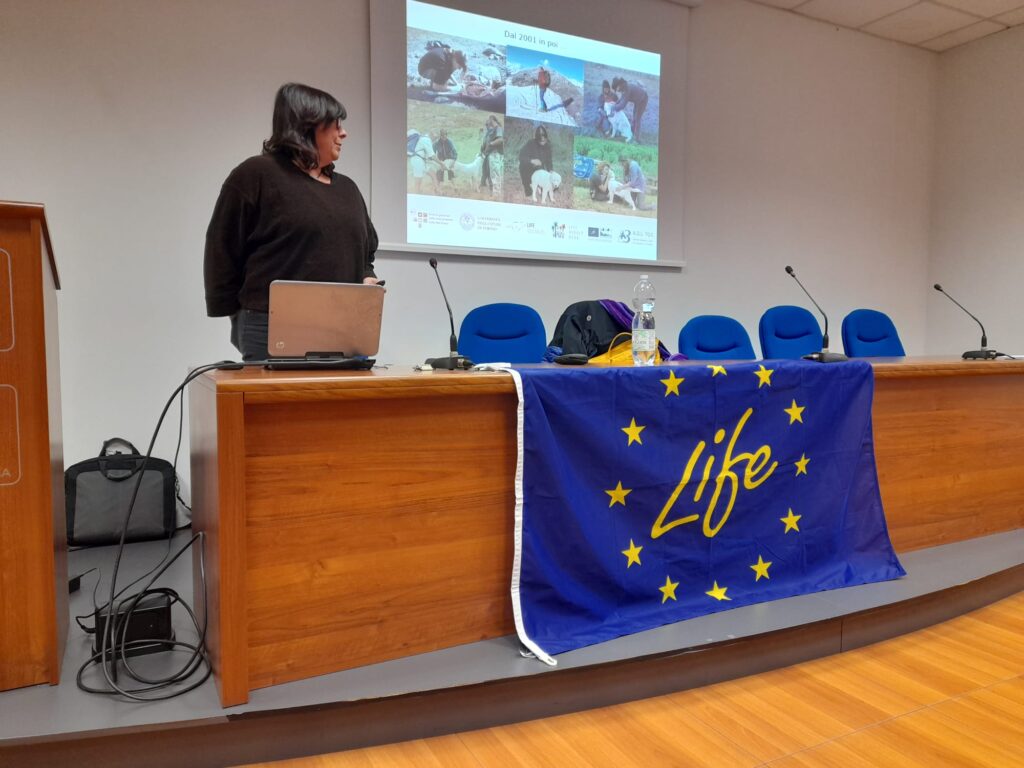 Prevention of wolf damage to domestic livestock: a new year of support, training, information activities - Life Wolfalps EU