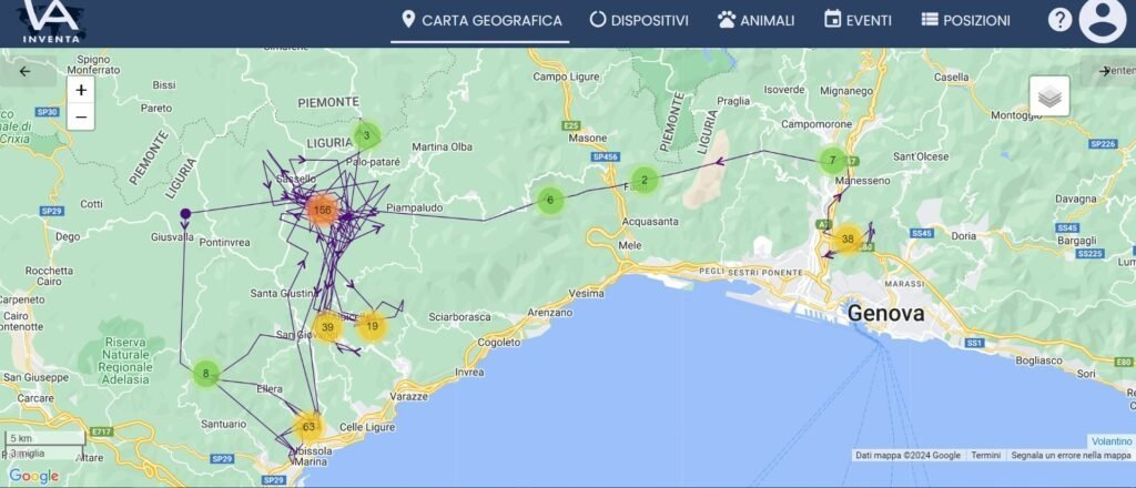 Nuovo aggiornamento sui lupi recentemente radiocollarati in Liguria e fake news! - Life Wolfalps EU