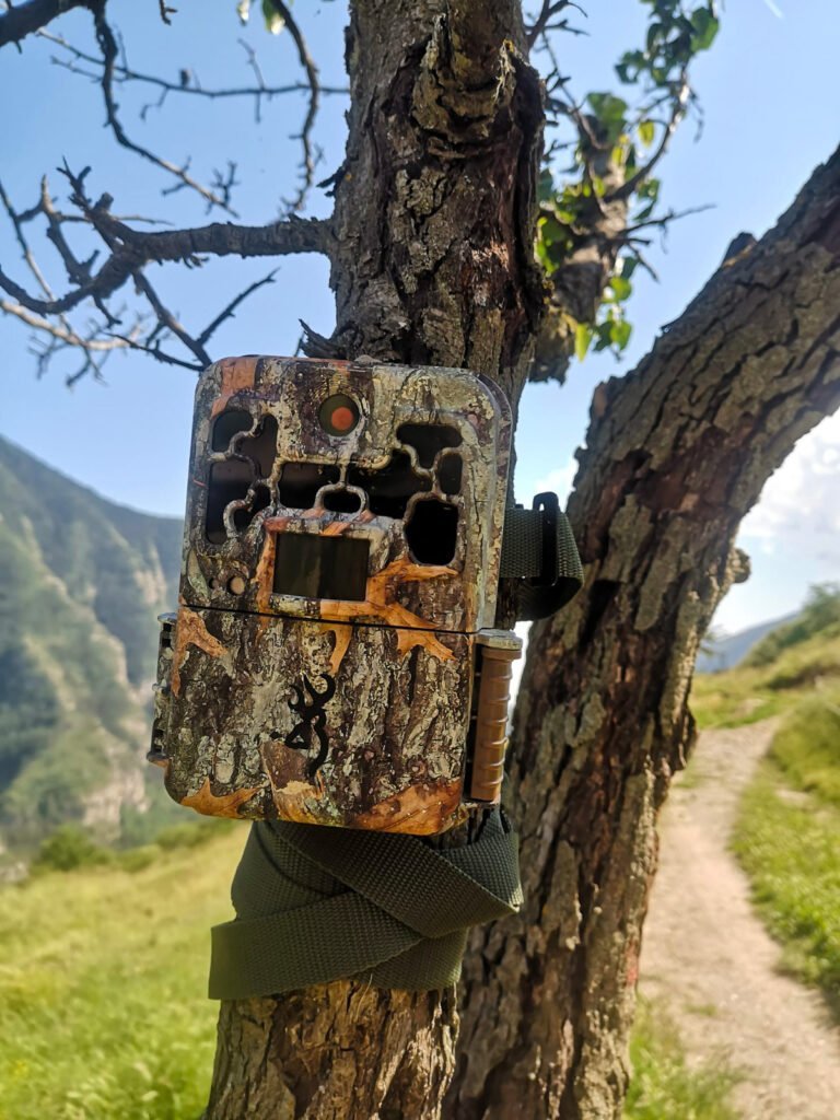 Intervention dans la vallée de la Roya, France, avec la pose de colliers anti-loup - Life Wolfalps EU